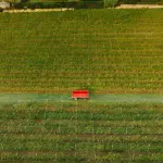 Agricoltura sotto pressione: Confagricoltura chiede all’UE misure straordinarie come in pandemia