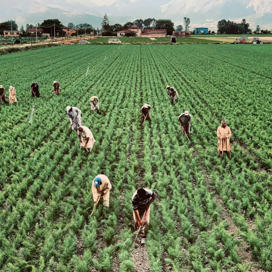 Cuneo, firmato il protocollo per l’accoglienza dei lavoratori stagionali