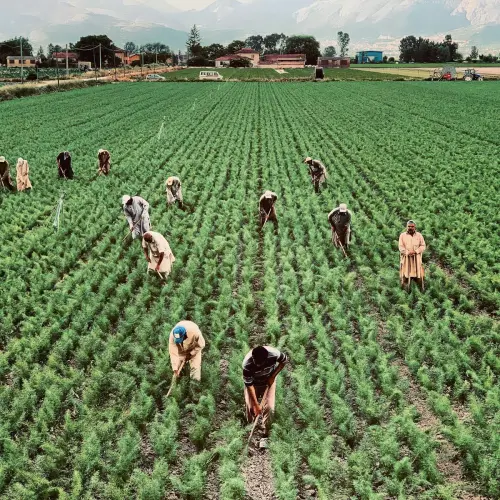 Cuneo, firmato il protocollo per l’accoglienza dei lavoratori stagionali