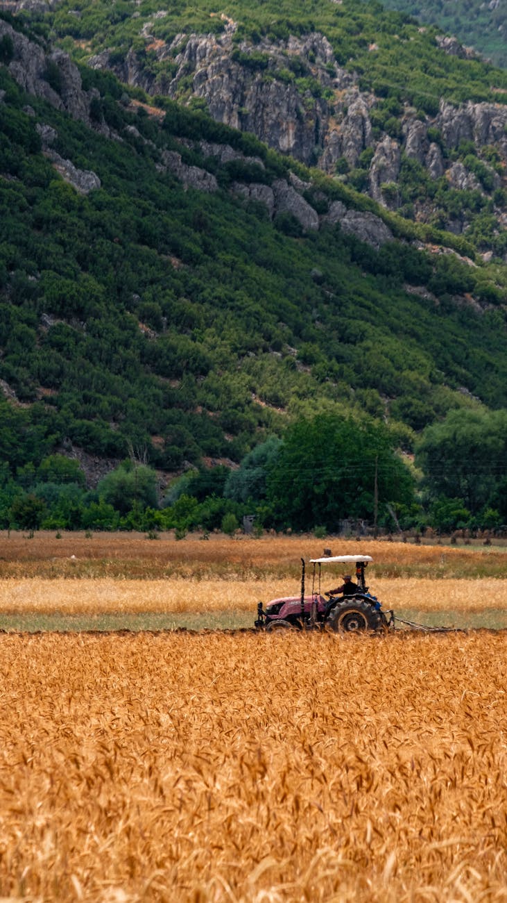 Savigliano, nasce AGRIESG per misurare la sostenibilità agricola