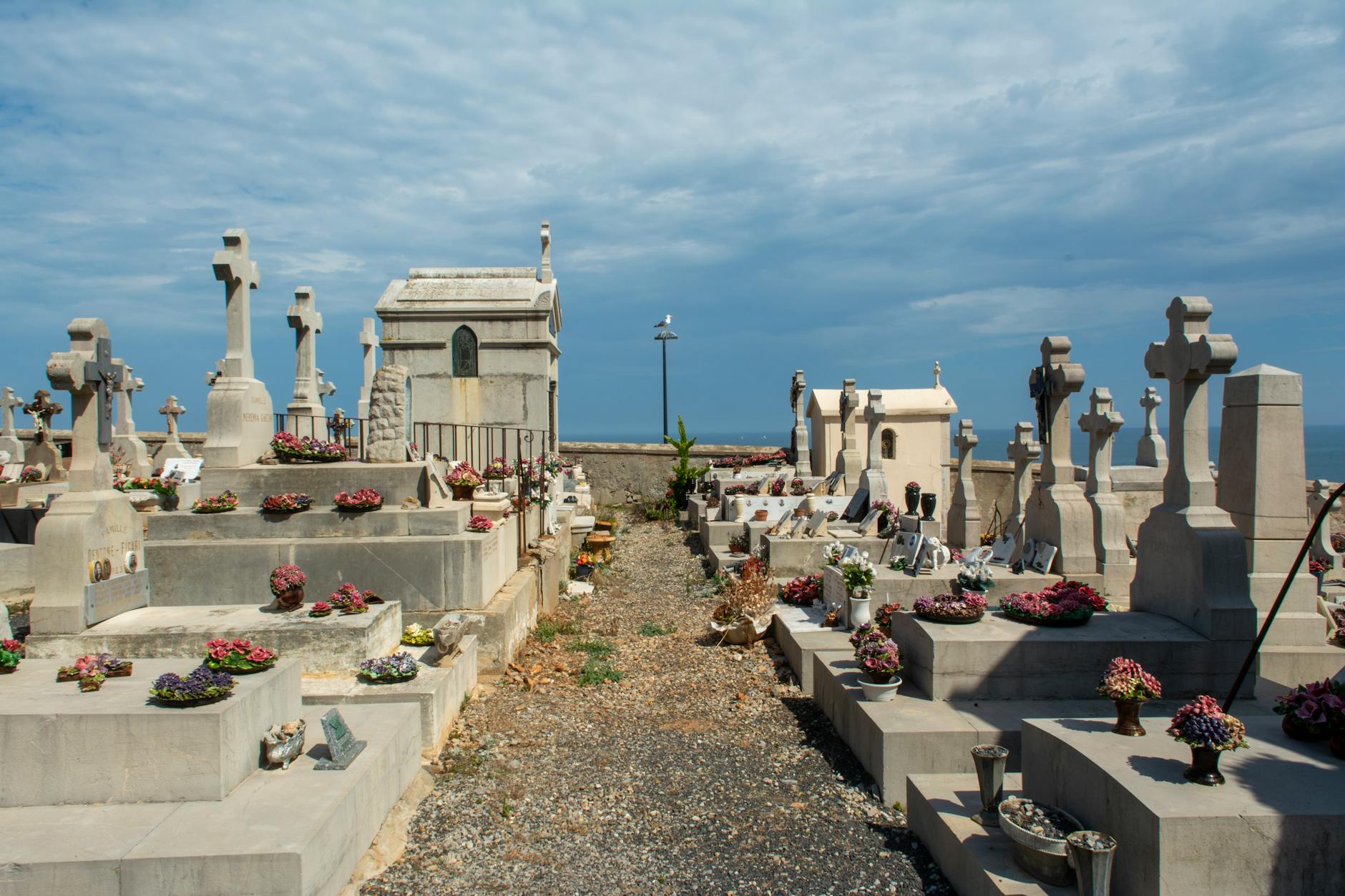 Cuneo, in fase conclusiva la riqualificazione del verde nei cimiteri cittadini