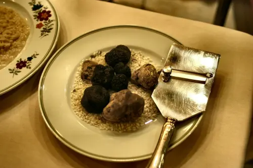 Il tartufo bianco di Alba: guida alla stagione 2026, la Fiera e dove acquistarlo dai cercatori