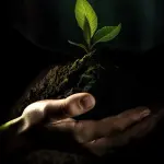 DL Bollette, Confagricoltura: “Rischio stop alle biomasse, filiera strategica per la transizione”