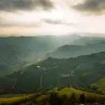 Langhe UNESCO: guida al paesaggio vitivinicolo