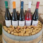 Cuneo, Confagricoltura chiede un piano per il vino in crisi