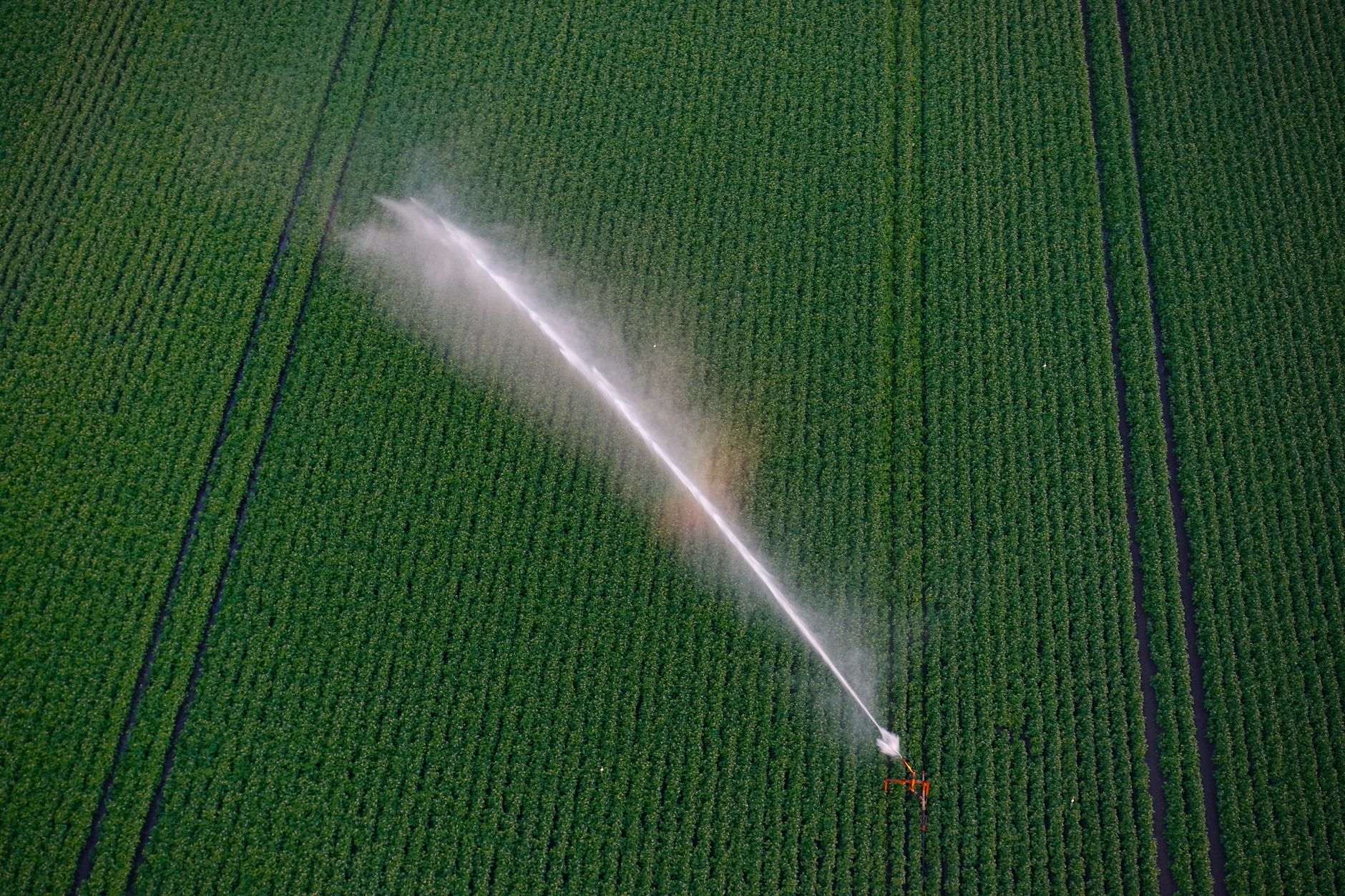 Cuneo, deroga irrigua in Valle Grana per sostenere le colture