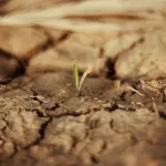 Piemonte, emergenza idrica: chiesti invasi e reti più efficienti