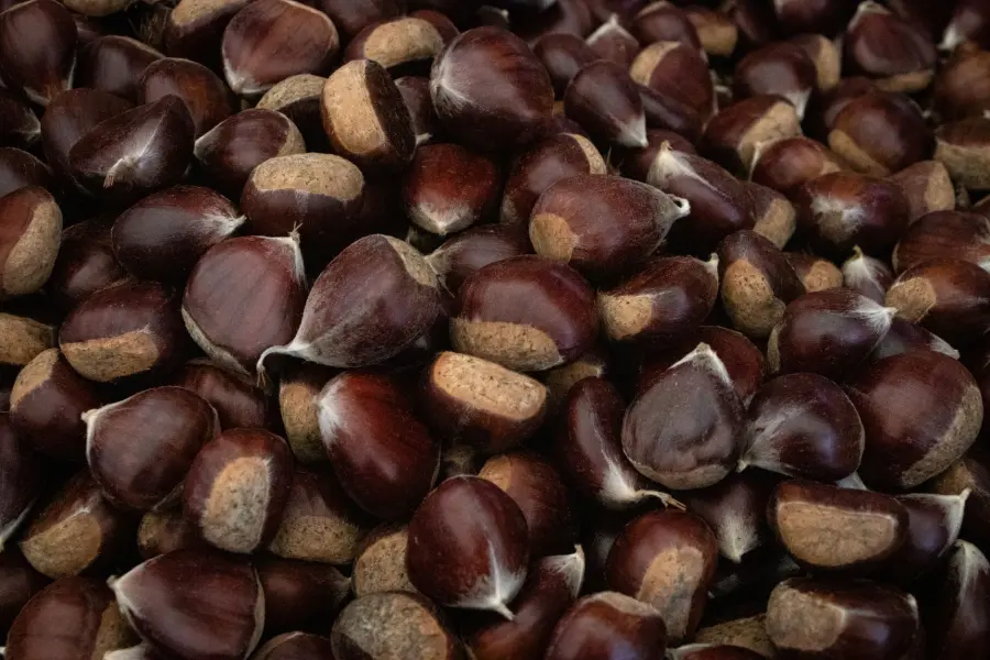 Castagne Cuneese: fiere, raccolta e ricette 2026