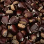 Castagne Cuneese: fiere, raccolta e ricette 2026