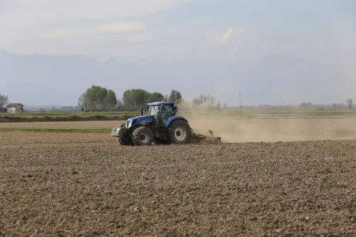 Cuneo, ortofrutta in crisi: aiuti contro caldo e grandine
