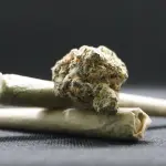 Cuneo, arrestato per spaccio nella zona del parco Cottolengo