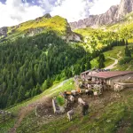 Prazzo, Cioca d’or 2026 a Luigi Rinaudi dopo 50 anni d’alpeggio