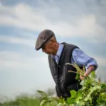 Cuneo contro lo sfruttamento: progetto nazionale e 160mila euro