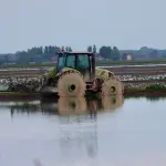 Cuneo, Confagricoltura presenta il dossier castanicoltura 2026