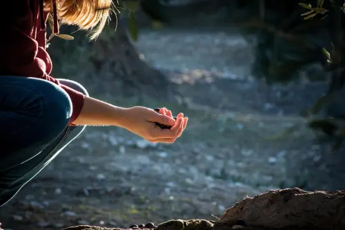 Marzo al Parco Fluviale Gesso e Stura: formazione, natura e nuovi strumenti per conoscere l’ambiente