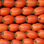 Dazi sulle conserve di pomodoro italiane, l’Australia riapre il dossier. Quale impatto per le aziende del Cuneese?