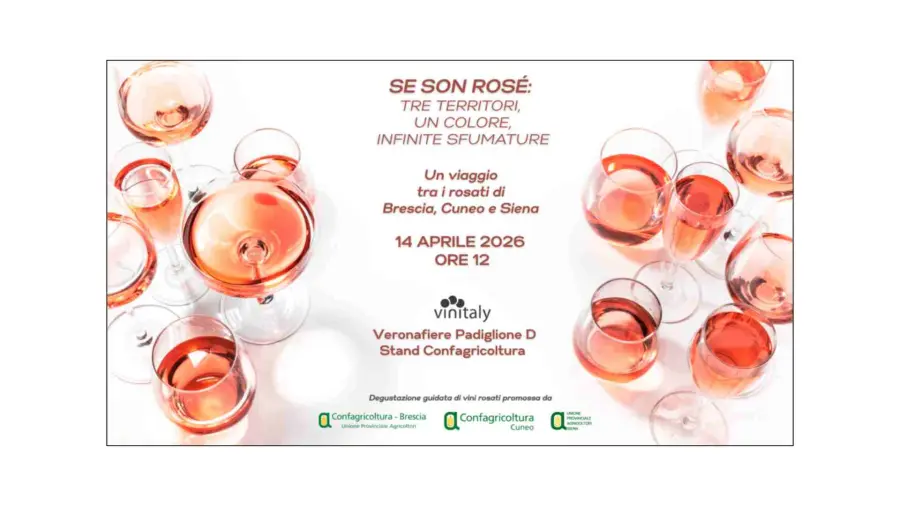 Vinitaly 2026: Confagricoltura Cuneo racconta il rosé e il progetto 8Pari